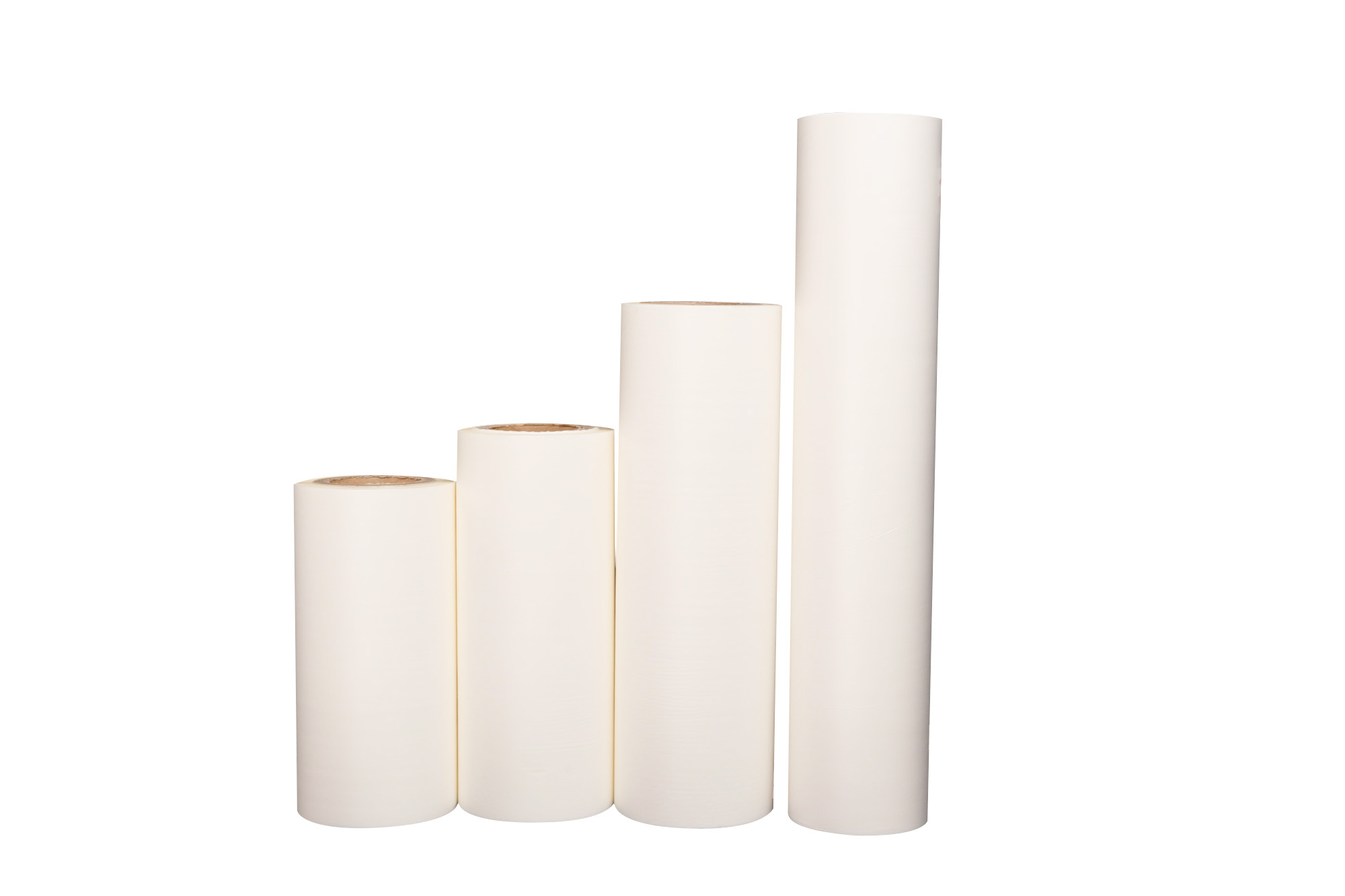 филм за домашни любимци